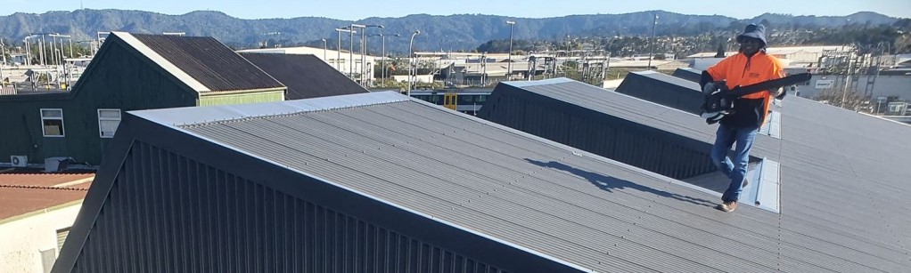 new-metal-roof-auckland