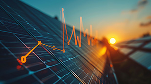 Solar Energy Grid Buyback NZ
